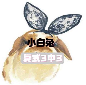 211期小白兔复式三中三-澳门国际