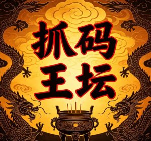 211期抓码王坛五码中特-澳门国际