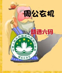 211期周公玄机精选六码-澳门国际